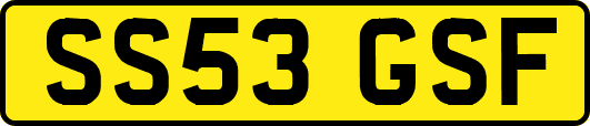 SS53GSF