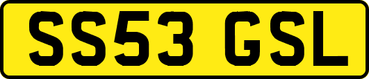 SS53GSL