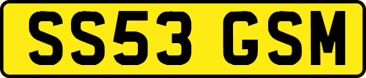 SS53GSM