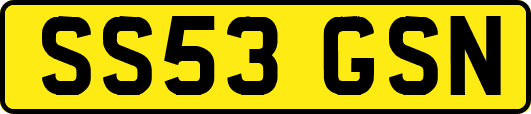 SS53GSN