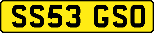 SS53GSO