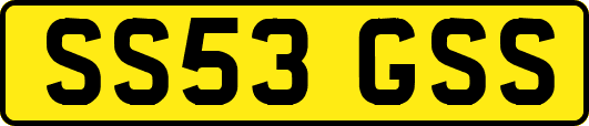 SS53GSS