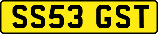 SS53GST
