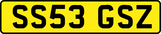 SS53GSZ