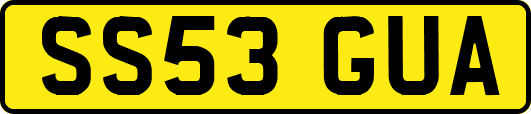 SS53GUA