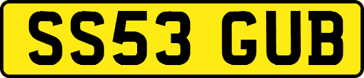 SS53GUB