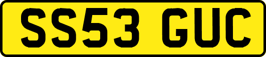 SS53GUC