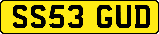 SS53GUD