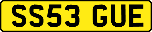 SS53GUE