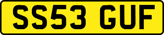SS53GUF