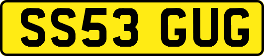 SS53GUG