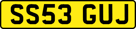 SS53GUJ