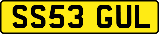 SS53GUL