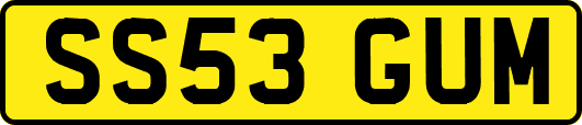 SS53GUM