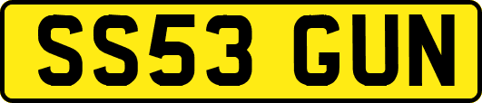 SS53GUN