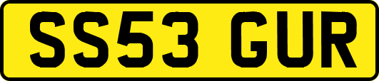 SS53GUR