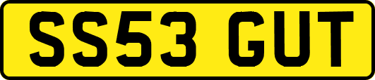 SS53GUT