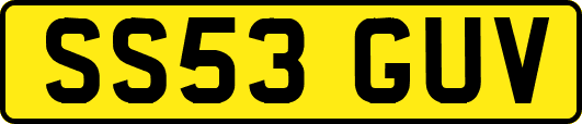 SS53GUV