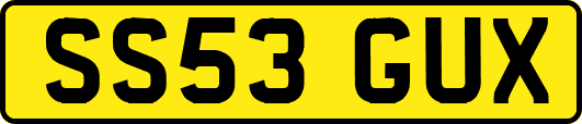 SS53GUX