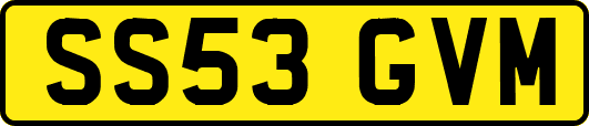 SS53GVM