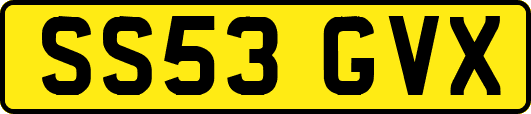 SS53GVX