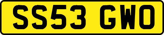 SS53GWO