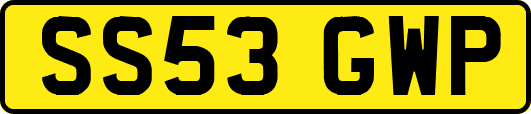 SS53GWP