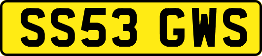 SS53GWS
