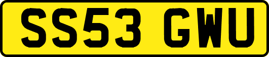 SS53GWU