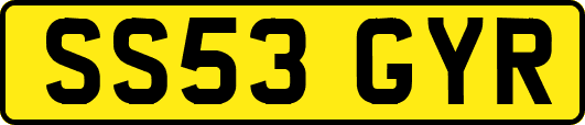 SS53GYR