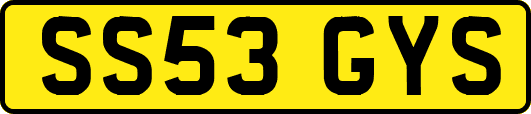 SS53GYS
