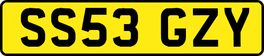 SS53GZY