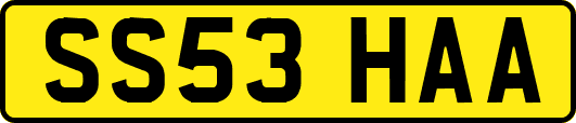 SS53HAA