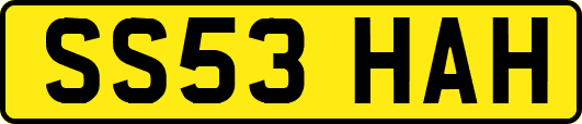 SS53HAH