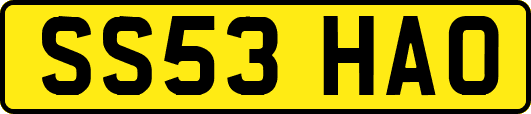 SS53HAO