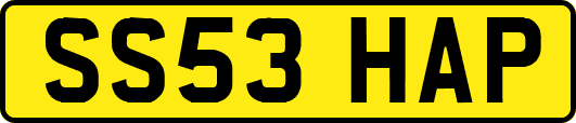 SS53HAP