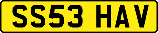 SS53HAV