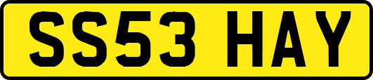 SS53HAY