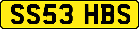 SS53HBS