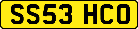 SS53HCO