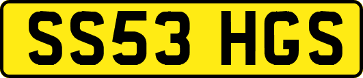 SS53HGS
