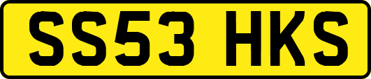 SS53HKS