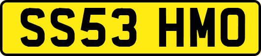 SS53HMO