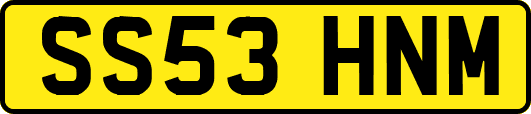 SS53HNM