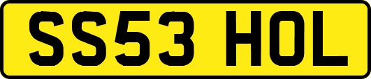 SS53HOL