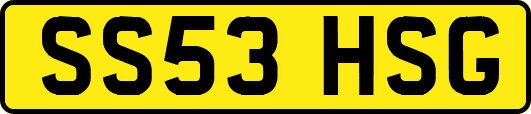 SS53HSG