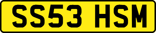 SS53HSM