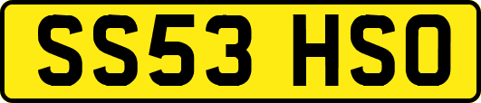 SS53HSO