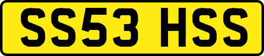 SS53HSS