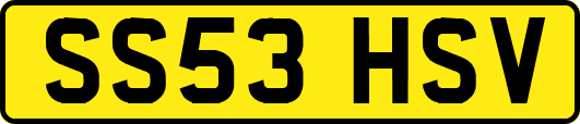 SS53HSV